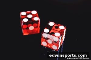 AG真人 edwinsports